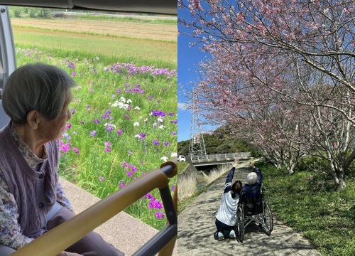 花の時期にははなるべくお外へ